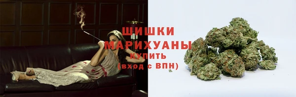 молекула духа Покачи