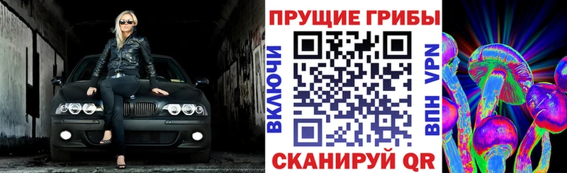 Галлюциногенные грибы Psilocybe  KRAKEN вход  Кадников 
